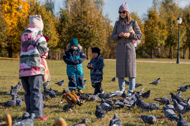 Similar image 21946736