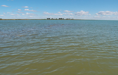 Similar image 21942238