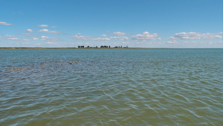 Similar image 21943390