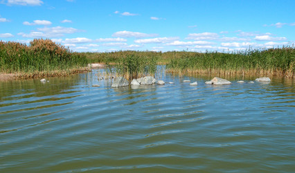 Similar image 21943392