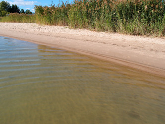 Similar image 21943393