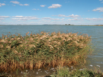 Similar image 21943399