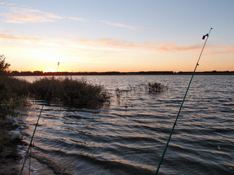 Similar image 21943403