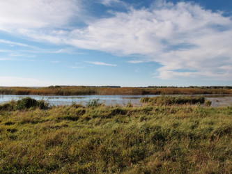 Similar image 21943405