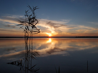 Similar image 21943407