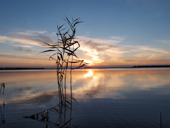 Similar image 21943408