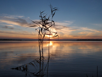 Similar image 21943410