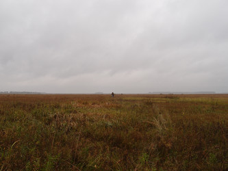 Similar image 21943412