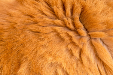 Similar image 21943724