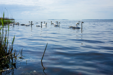 Similar image 21948376