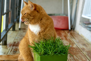 Similar image 21948377