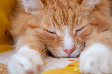 Similar image 21948378