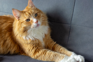 Similar image 21948380