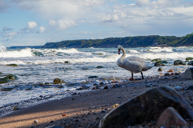 Similar image 21943731