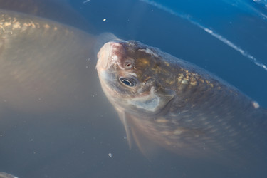 Similar image 21943734