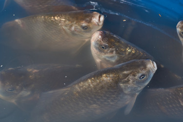 Similar image 21943736