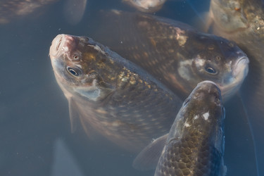 Similar image 21943737