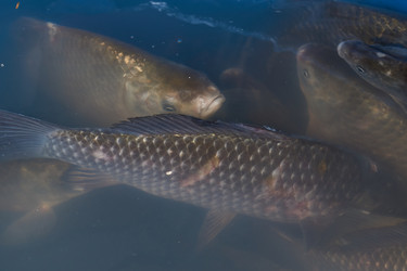 Similar image 21943738