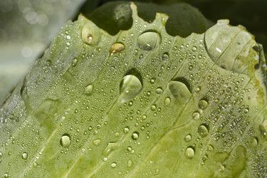 Similar image 21943740