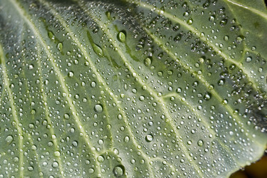 Similar image 21943741