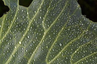 Similar image 21943742