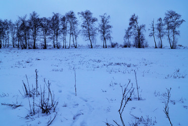 Similar image 21943773