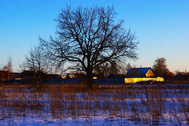 Similar image 21943777