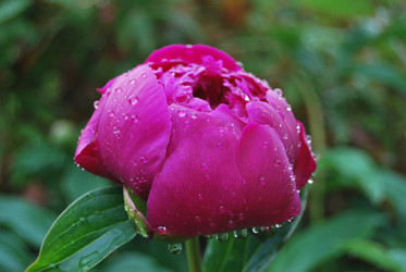 Similar image 21943925