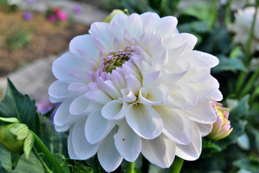 Similar image 21943927