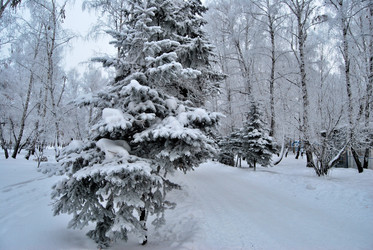 Similar image 21943928