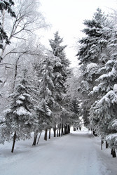 Similar image 21943930