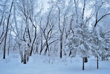 Similar image 21943934