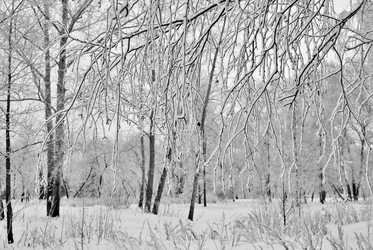 Similar image 21943935