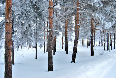 Similar image 21943936