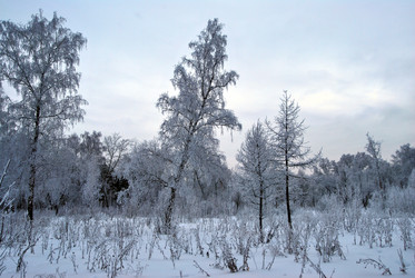 Similar image 21943937