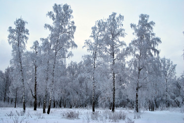 Similar image 21943943