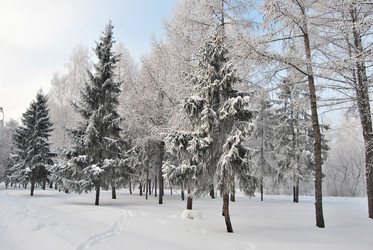 Similar image 21943947