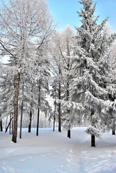 Similar image 21943948