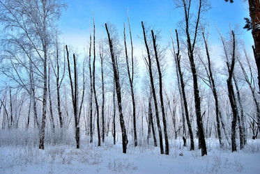 Similar image 21943954