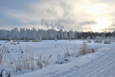 Similar image 21943955