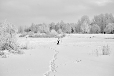 Similar image 21943956