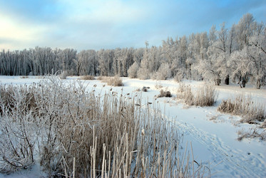 Similar image 21943957