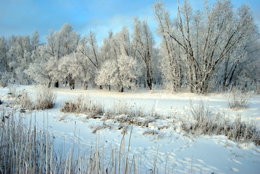 Similar image 21943960