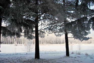 Similar image 21943961