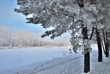 Similar image 21943963