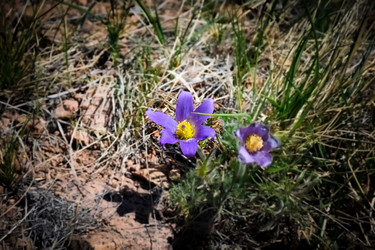 Similar image 21943971