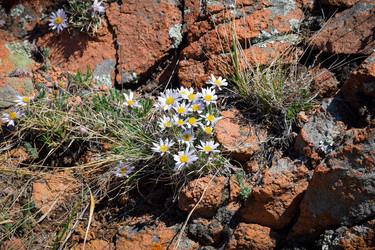 Similar image 21943972