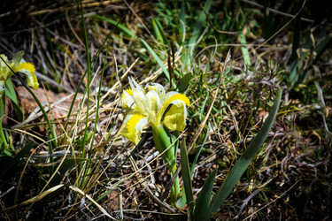 Similar image 21943973