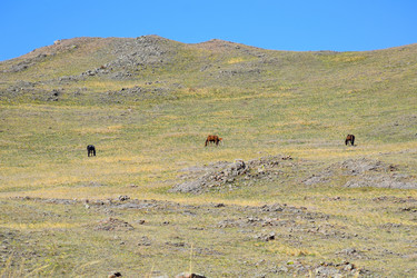 Similar image 21943977