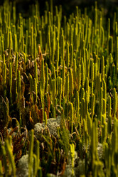 Similar image 21946499